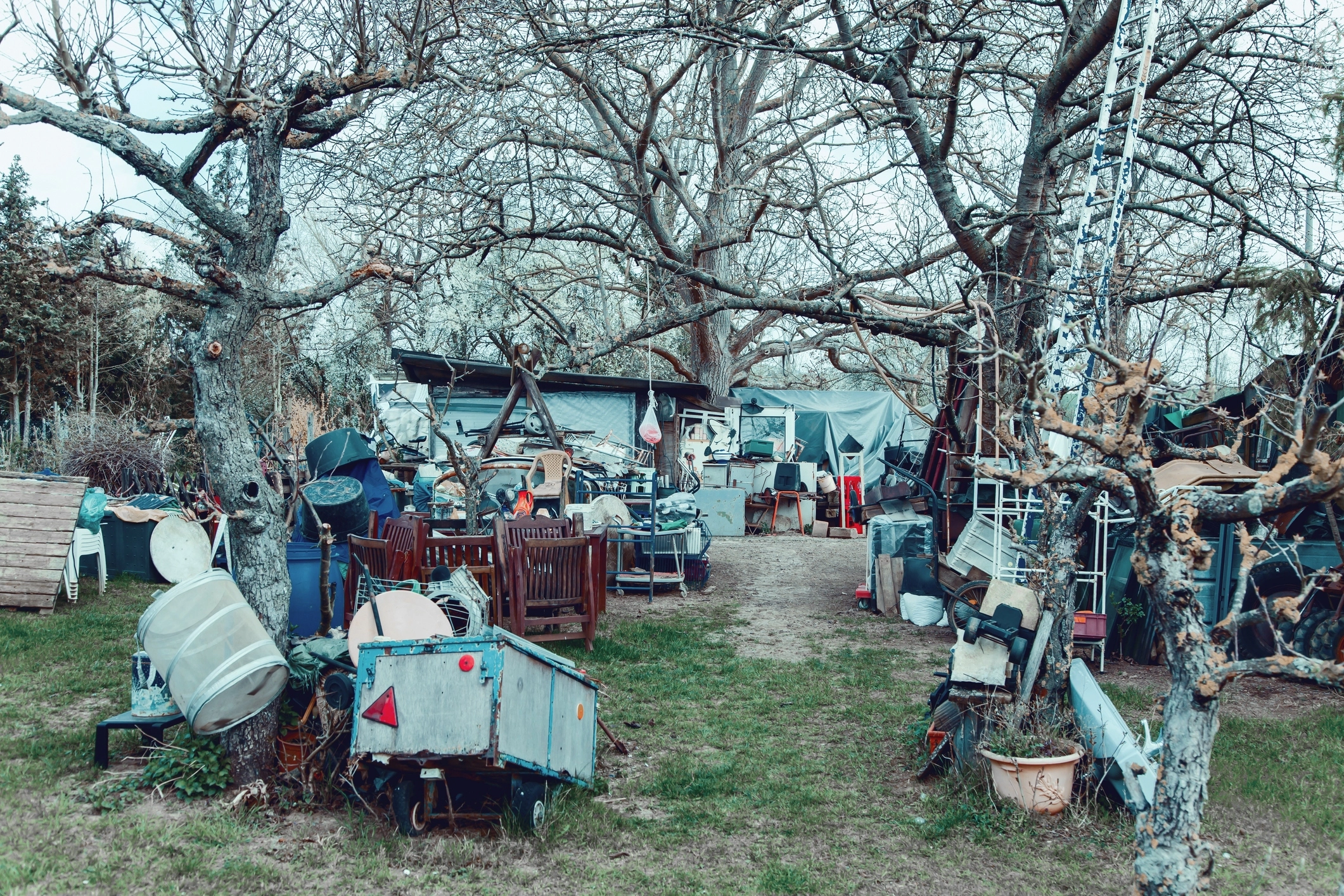 Hoarding in a Rental Unit: A Landlord’s Plan of Action