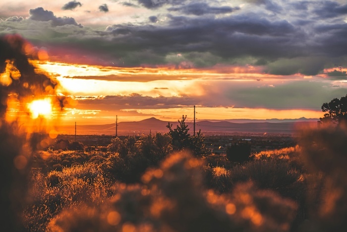 New Mexico Rental Application