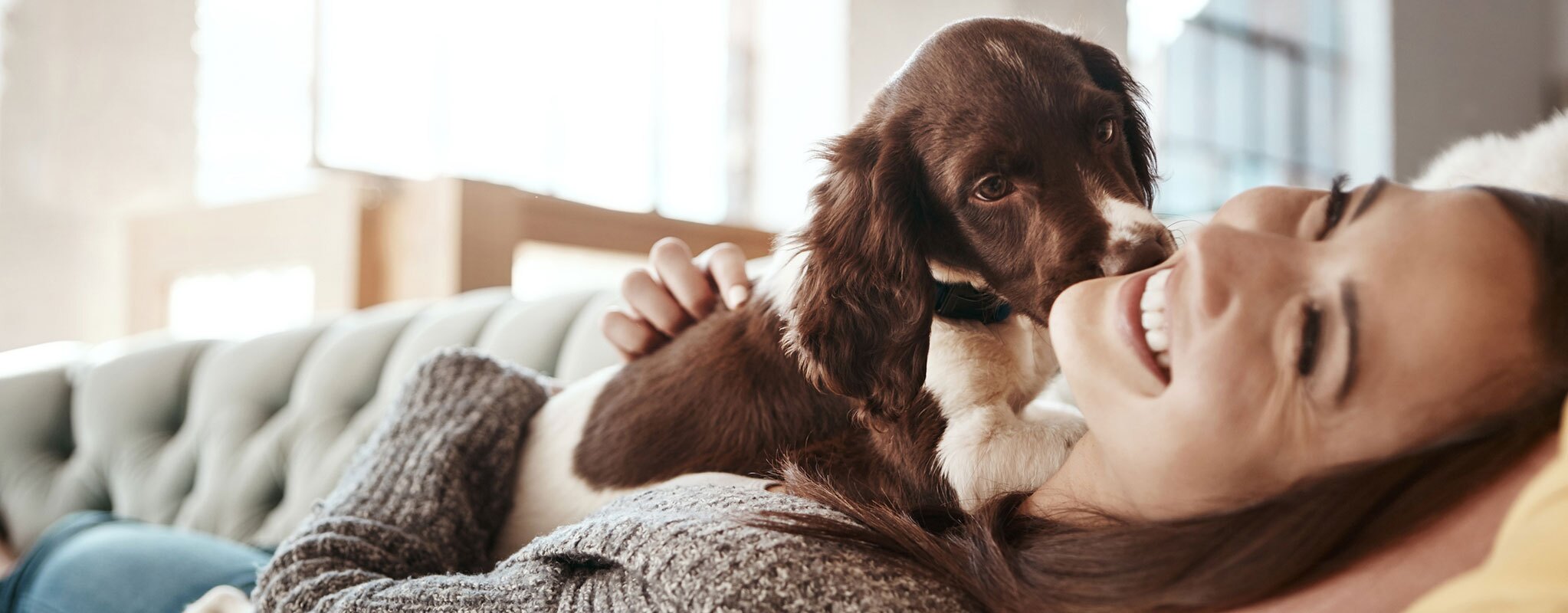 Finding Your Perfect Pooch: A Guide to the 12+ Best Apartment Dogs