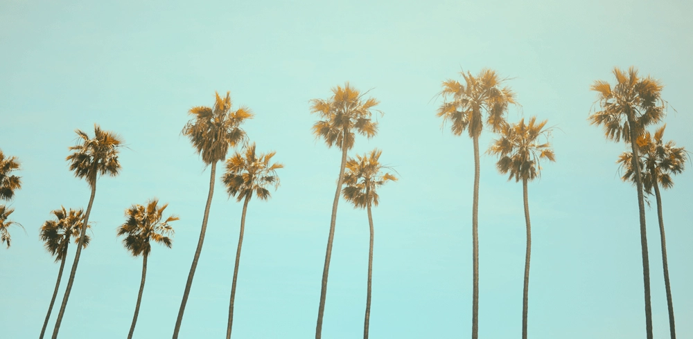 California Tenant Protection Act of 2019