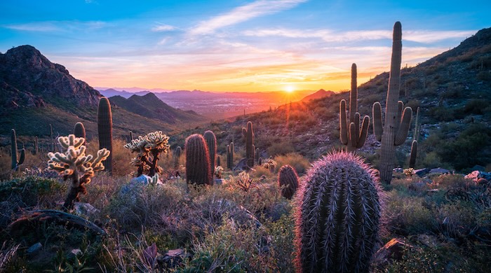 Arizona Landlord-Tenant Law: Overview of Rights