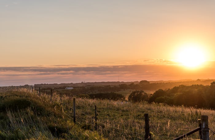Nebraska Landlord-Tenant Law: Overview of Rights