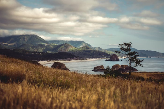 Oregon Landlord-Tenant Law: Overview of Rights