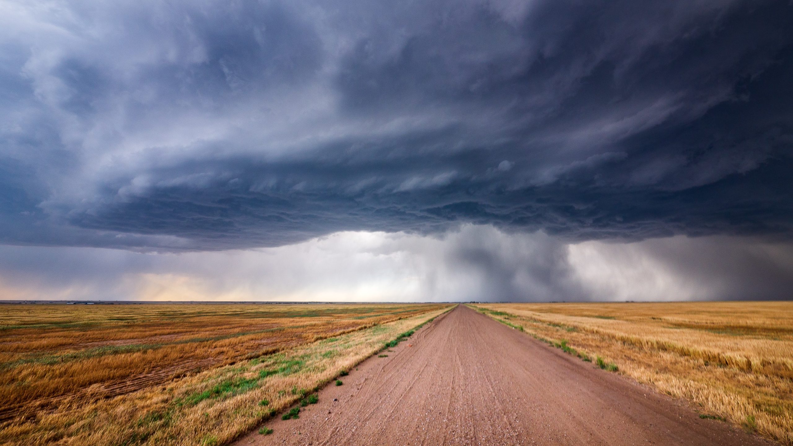 Kansas Landlord-Tenant Law