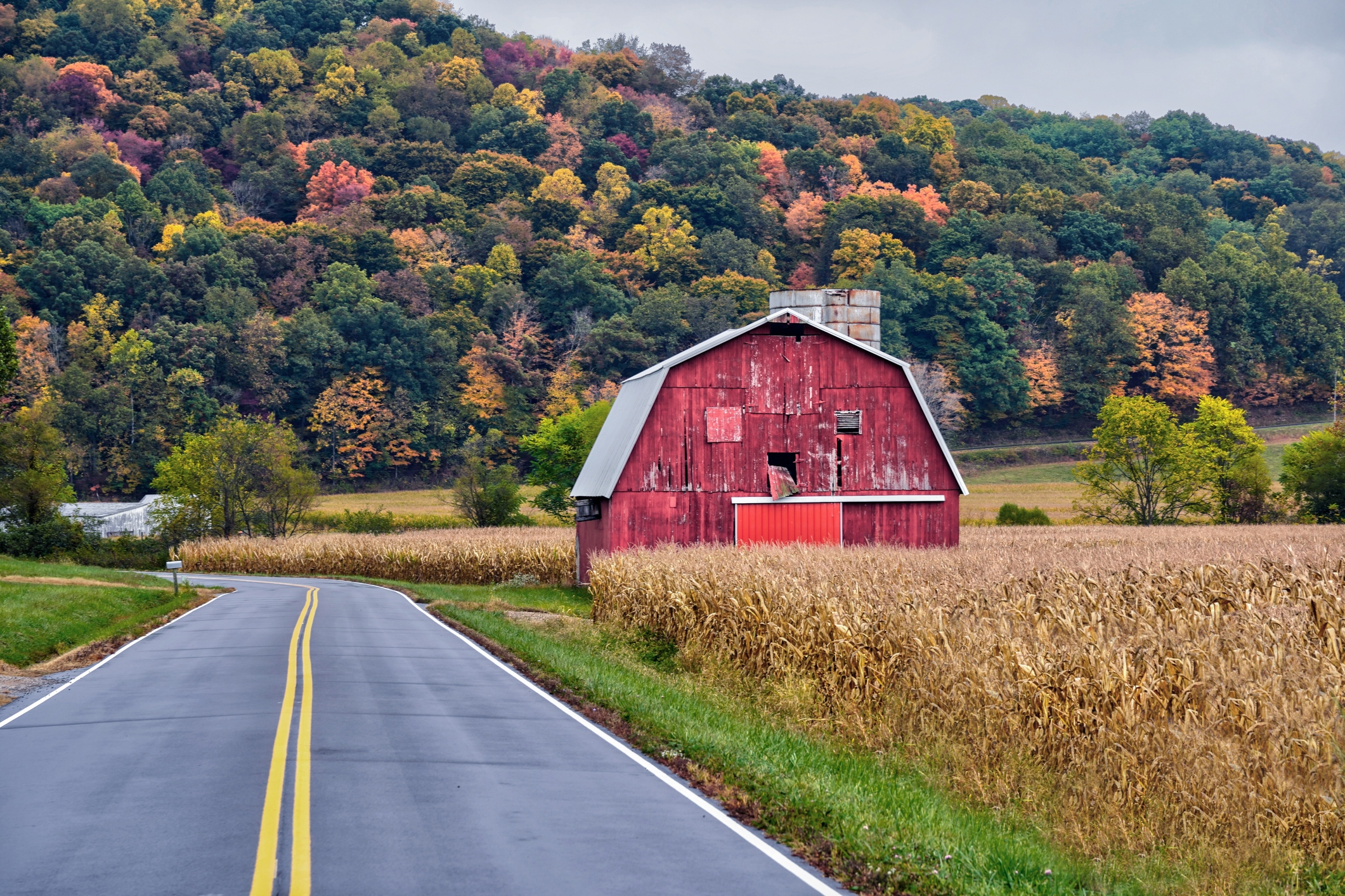 Ohio Rental Application