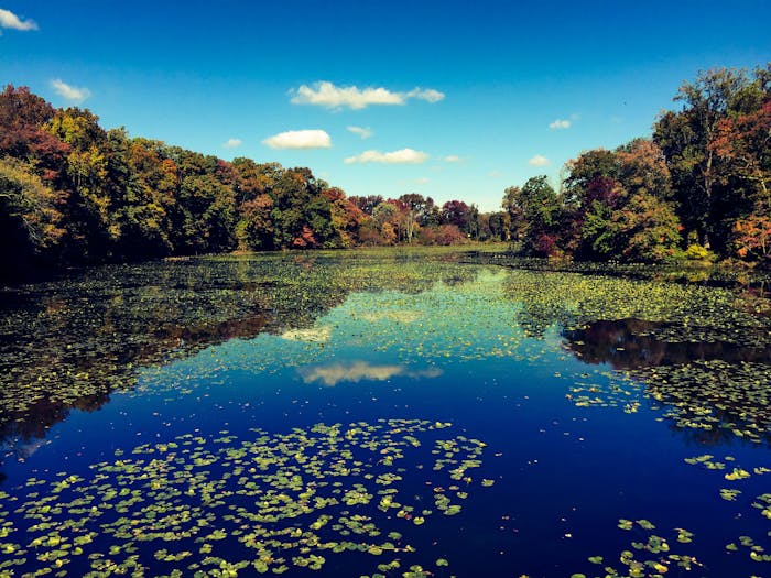 Delaware Residential Lease Agreement