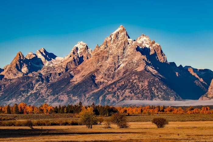 Wyoming Residential Lease Agreement