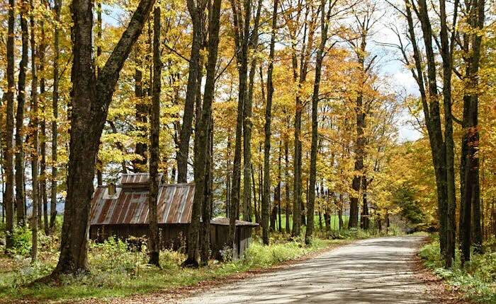 Squatters Rights in Vermont & Adverse Possession Laws 2024