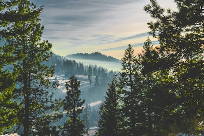 Idaho Month-to-Month Lease Agreement
