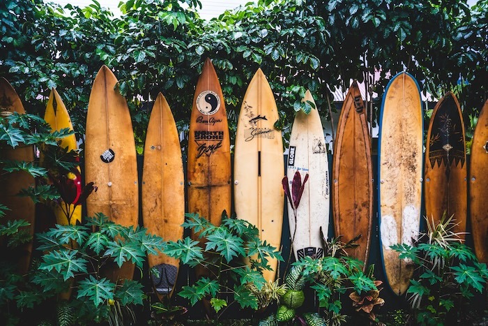 Room Rental Agreement Hawaii