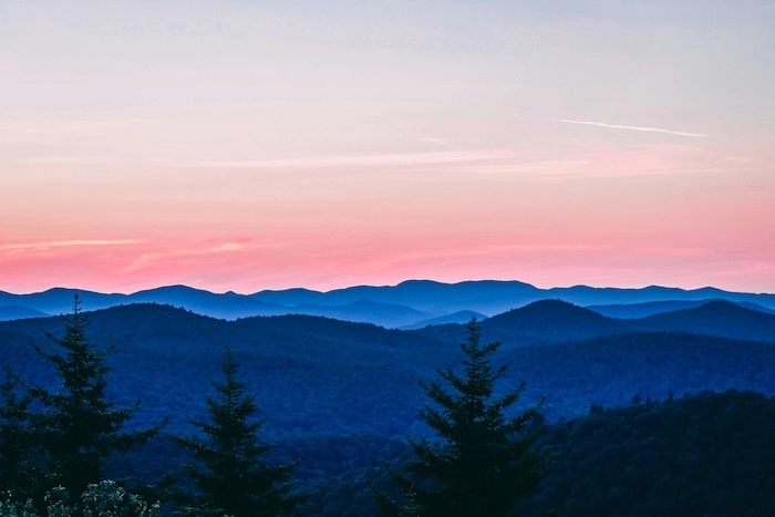 Vermont Rental Application
