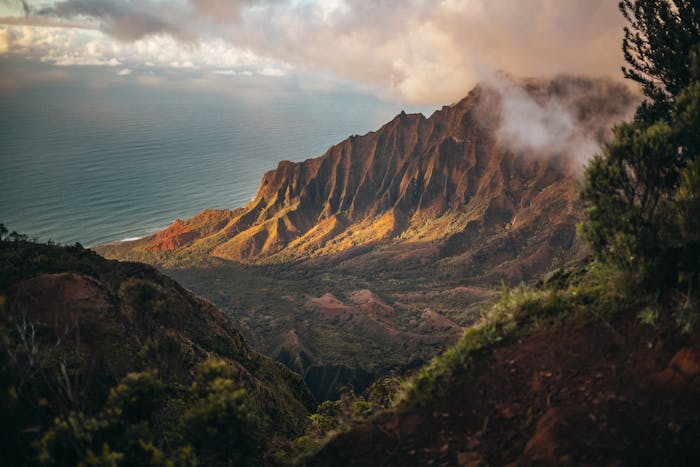 Hawaii Rent Receipt