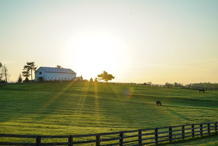 Kentucky Landlord-Tenant Law: Overview of Rights