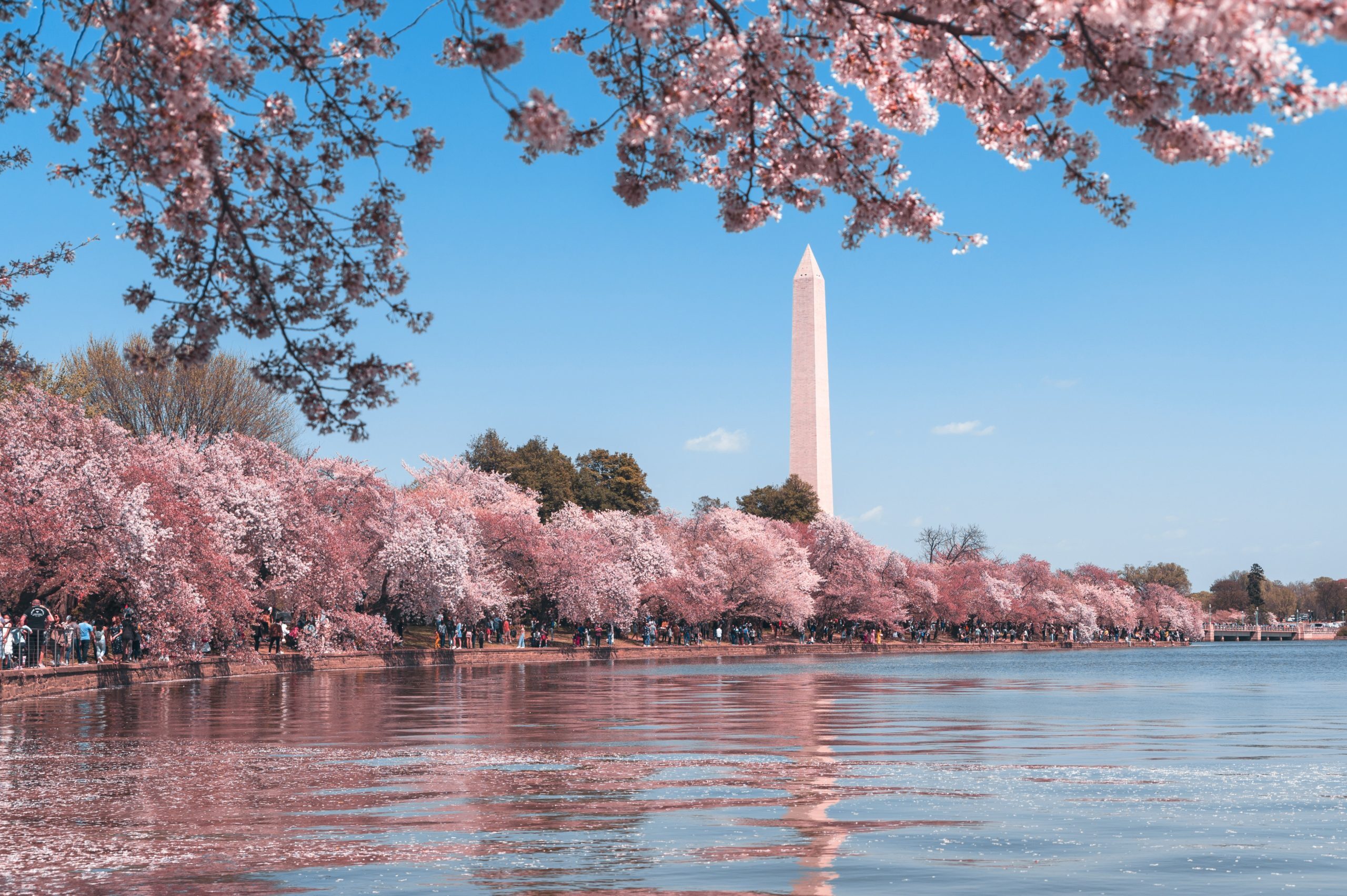 Washington D.C. Landlord-Tenant Law