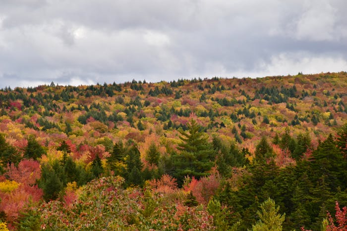 New Hampshire Residential Lease Agreement