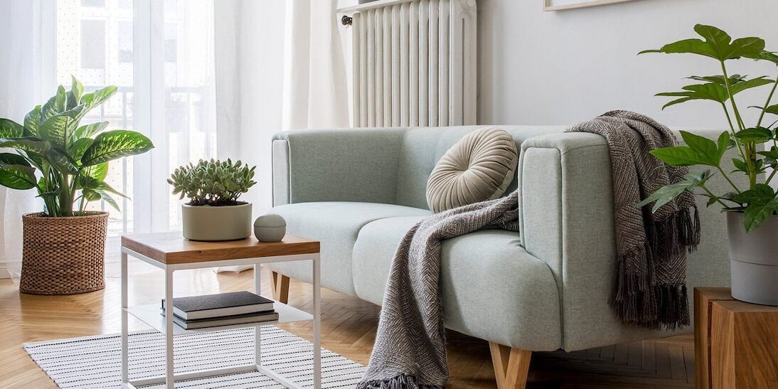How to Deodorize a Room: 11 Natural Remedies to Beat Funky Smells