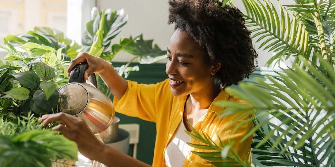 How To Start an Indoor Garden in 6 Simple Steps