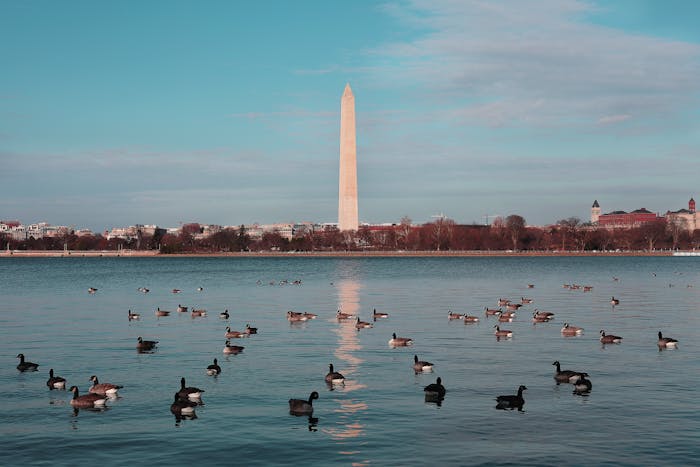 Washington, D.C. Residential Lease Agreement