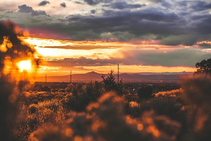 New Mexico Month-to-Month Lease Agreement