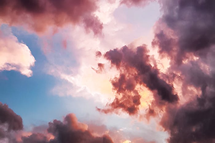 Property Manager Cloud Review: Interface, Features & More