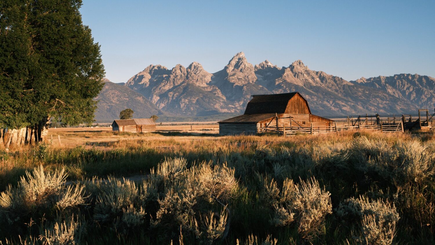 Wyoming Landlord-Tenant Law