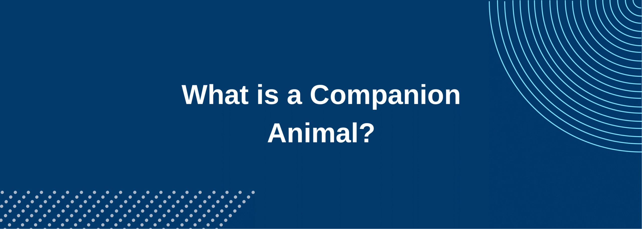 What is a Companion Animal?