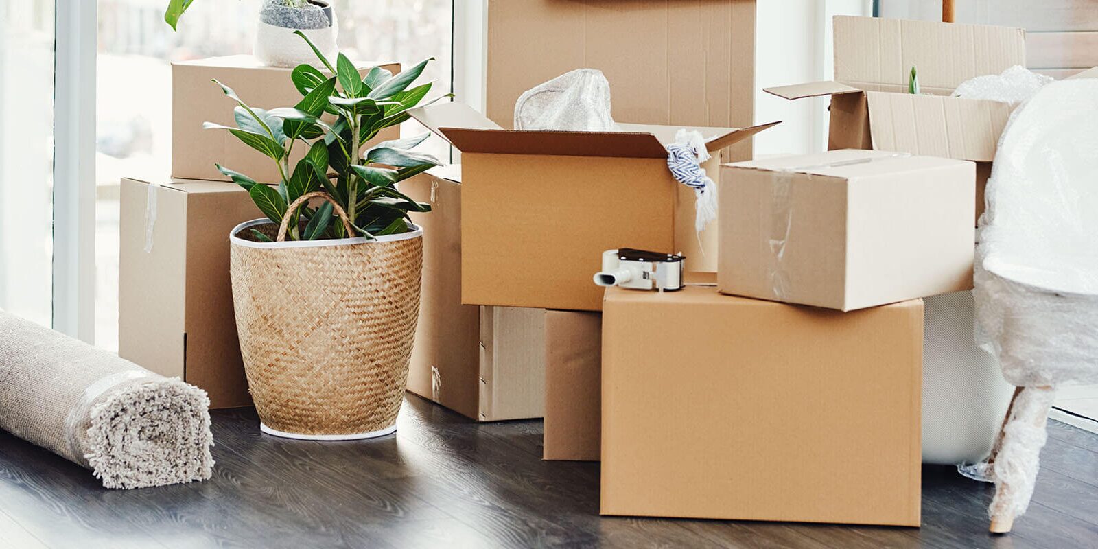 A Landlord & Tenant’s Guide to Renting With a Disability