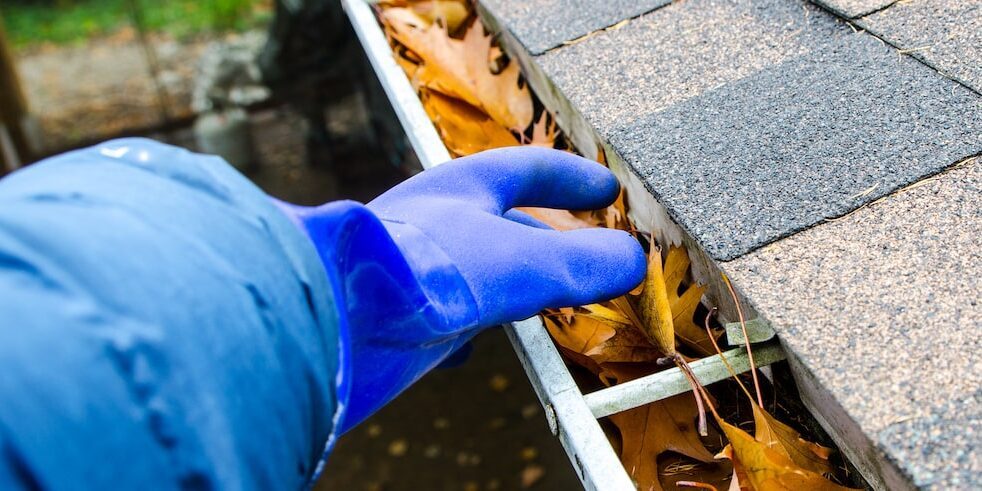 Spring Maintenance Checklist for Landlords: Refresh Your Rental Property
