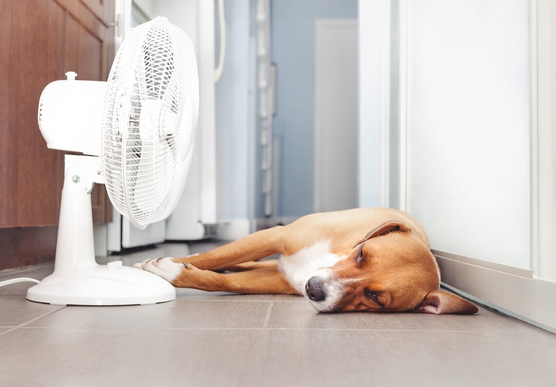 Essential Summer Home Maintenance Checklist to Keep Your Rental Property in Top Shape