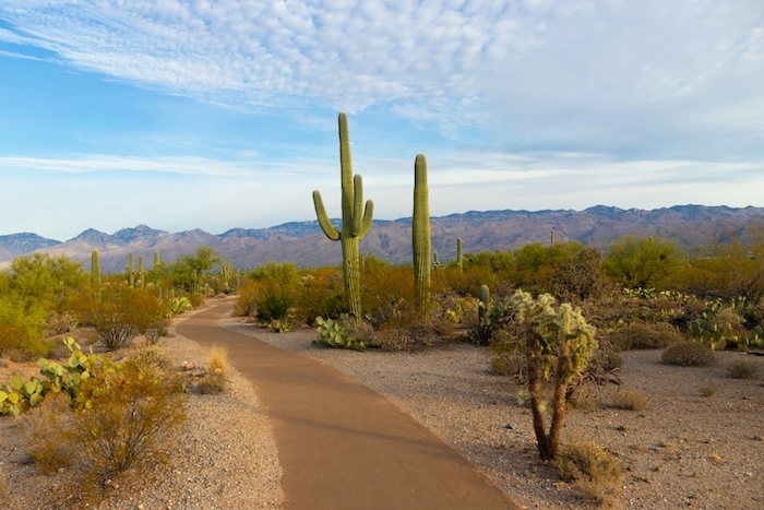 Room Rental Agreement Arizona