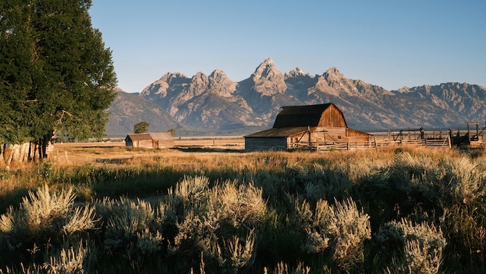 Wyoming Month-to-Month Lease Agreement