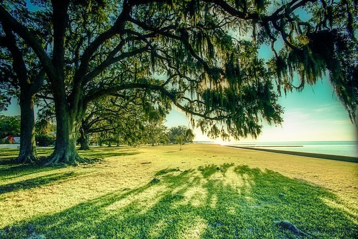 Louisiana Tenant Background Check