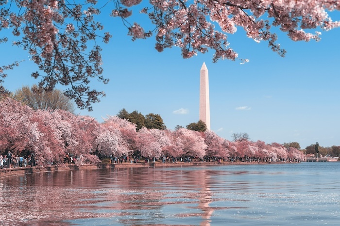 Room Rental Agreement Washington, D.C.