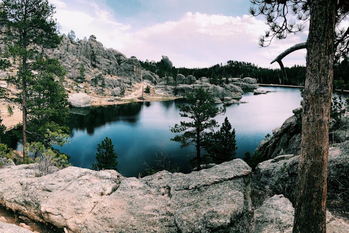 Room Rental Agreement South Dakota