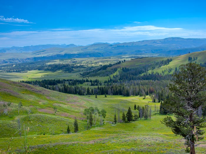 Wyoming Rent Increase Laws