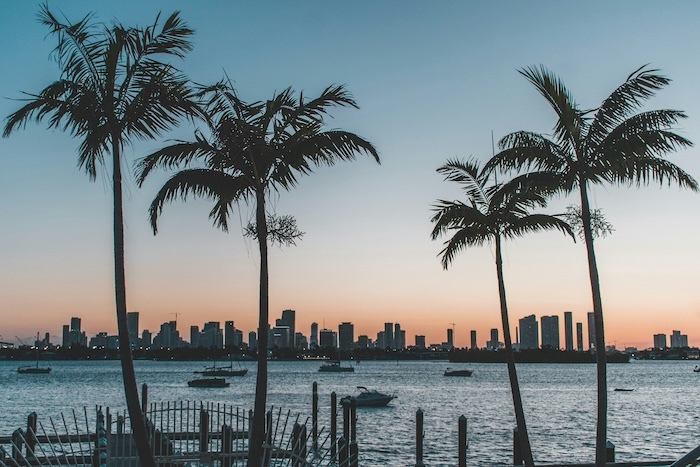 Palm trees on a Florida beach at sunset