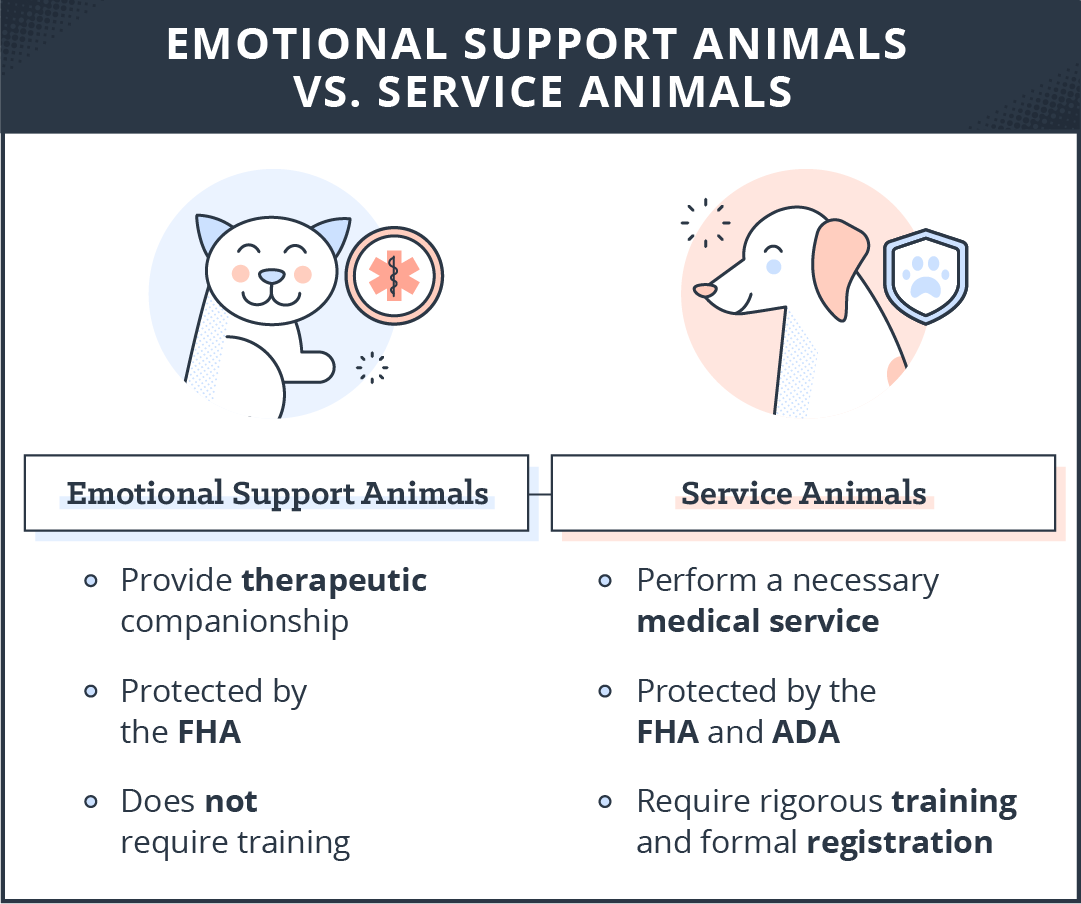 emotional-support-animals-vs-service-animals-comparison ESAs: Provide therapeutic companionship Are protected by the FHA Do no require training Service Animals: Perform a necessary medical service Are protected by the FHA and ADA Require rigorous training and formal registration