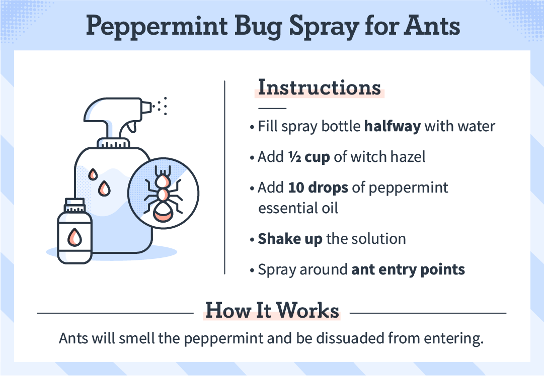 peppermint_bug_spray_ants