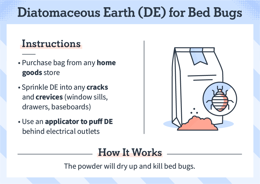 diatomaceous_earth_bed_bugs