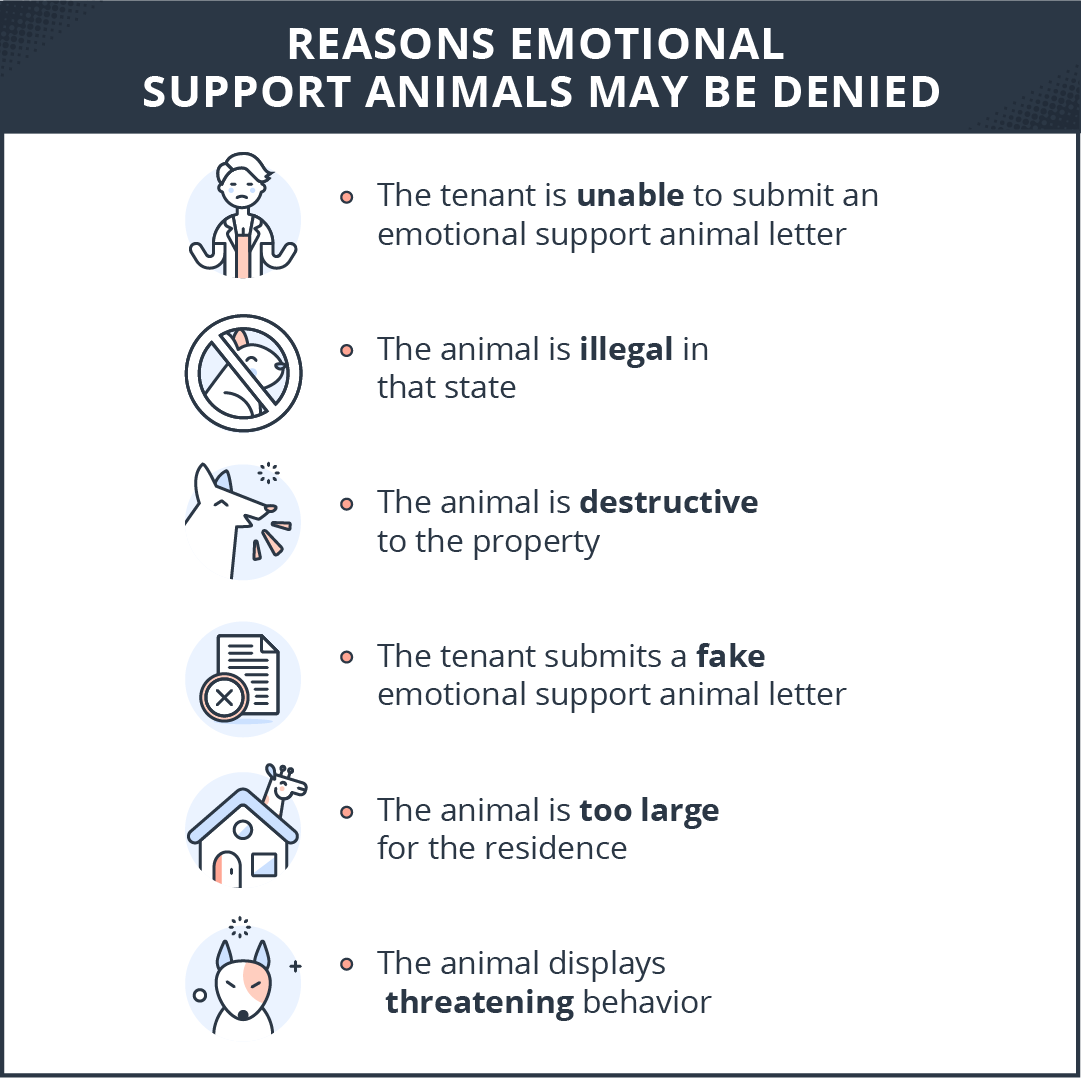 reasons-emotional-support-animals-may-be-denied