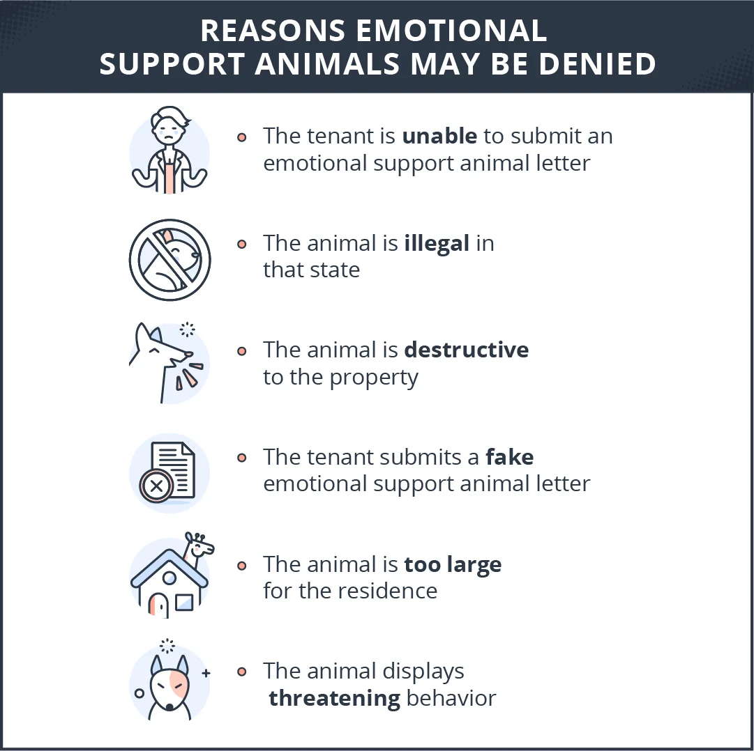 Emotional Support Animal Laws for Rentals: What You Need to Know -