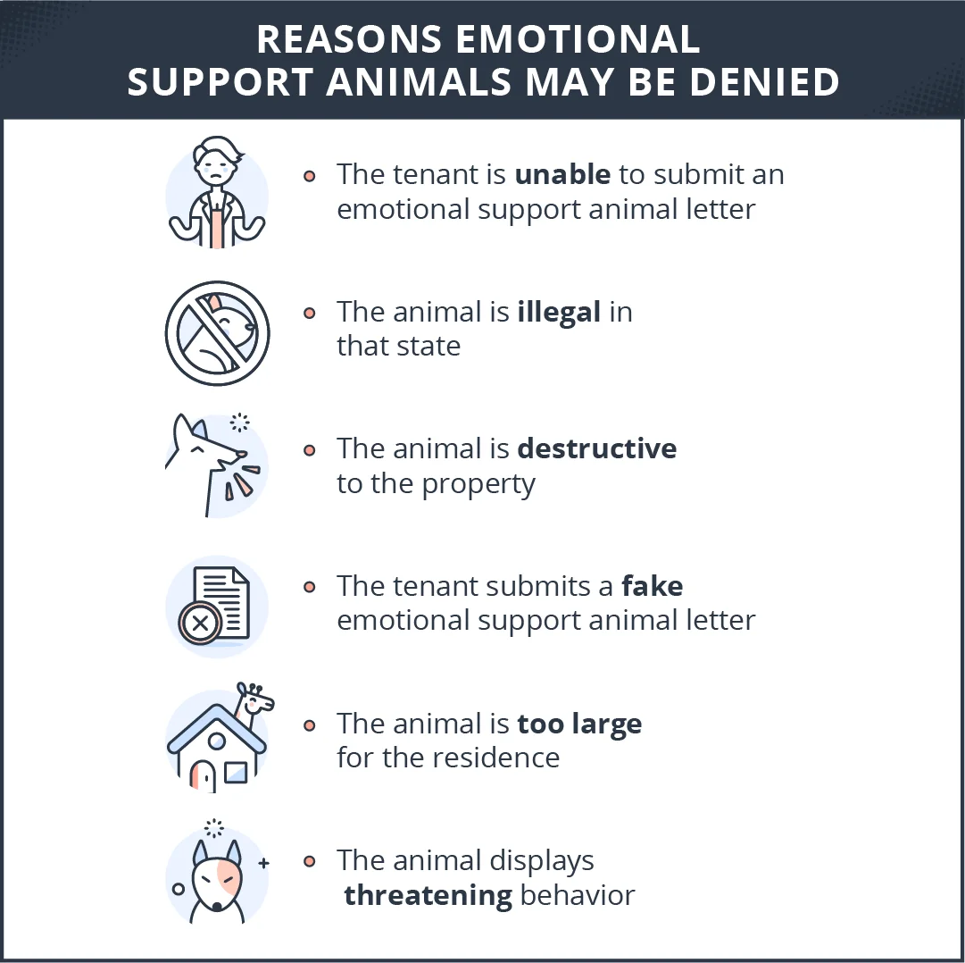 Emotional Support Animal Laws for Rentals: What You Need to Know - Emotional Support Animal Laws for Rentals: What You Need to Know -
