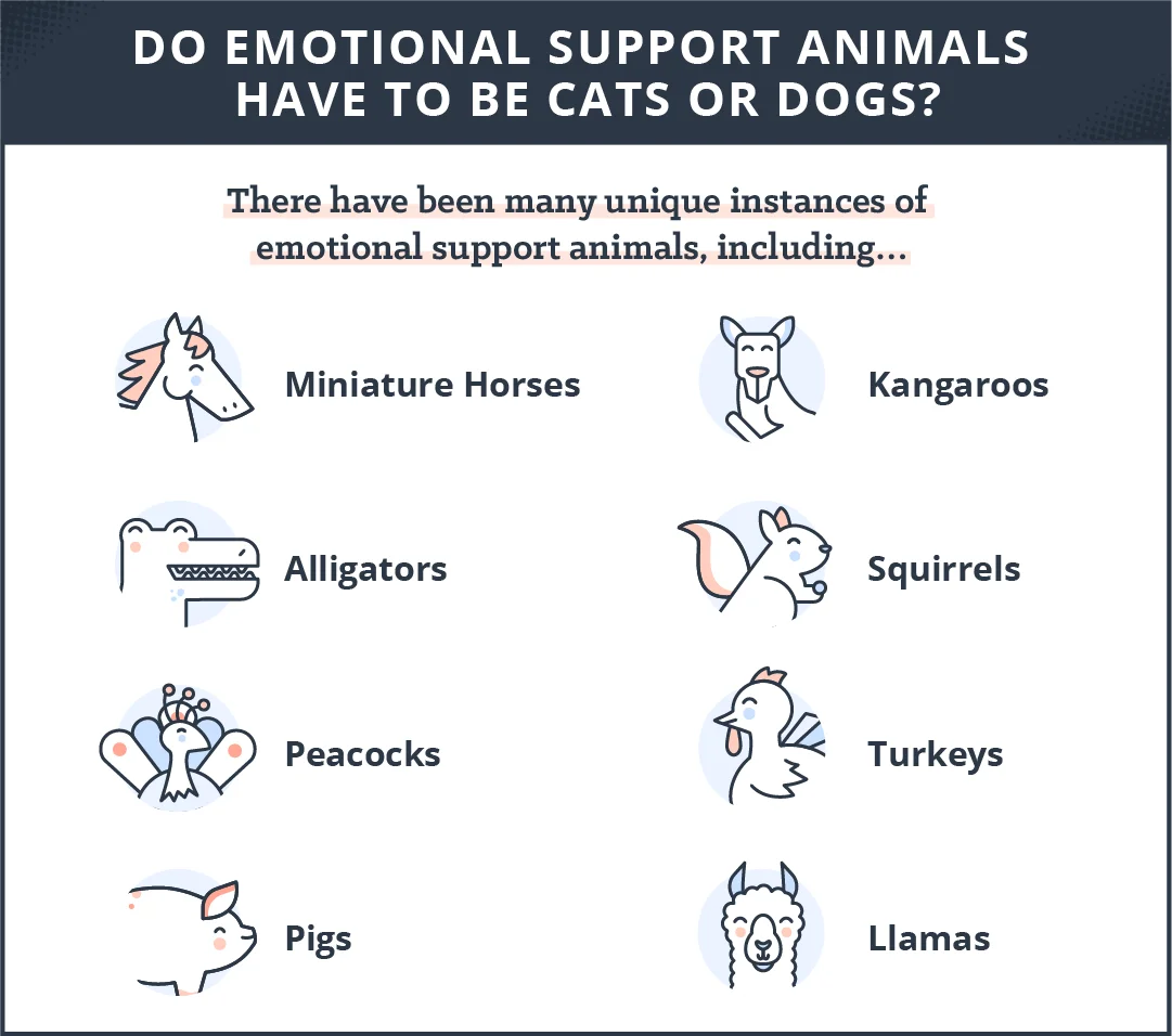 Emotional Support Animal Laws for Rentals: What You Need to Know - Emotional Support Animal Laws for Rentals: What You Need to Know -