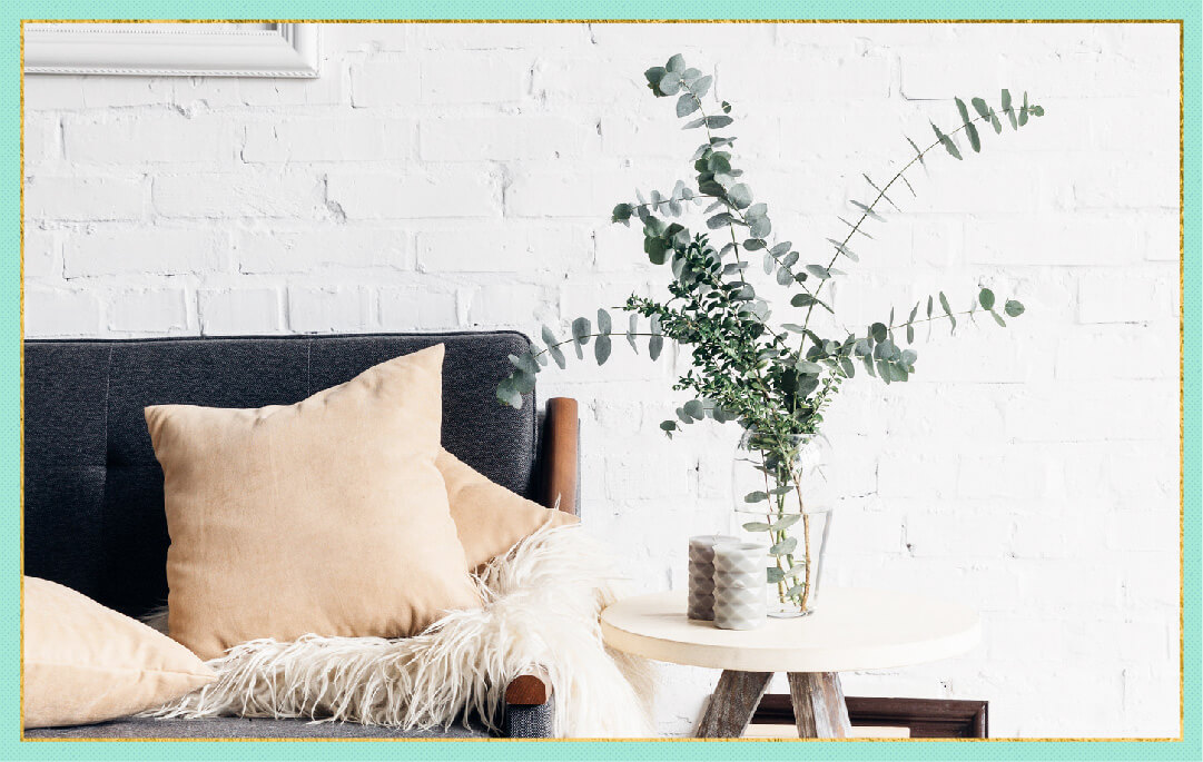 photo of eucalyptus plant in bedroom