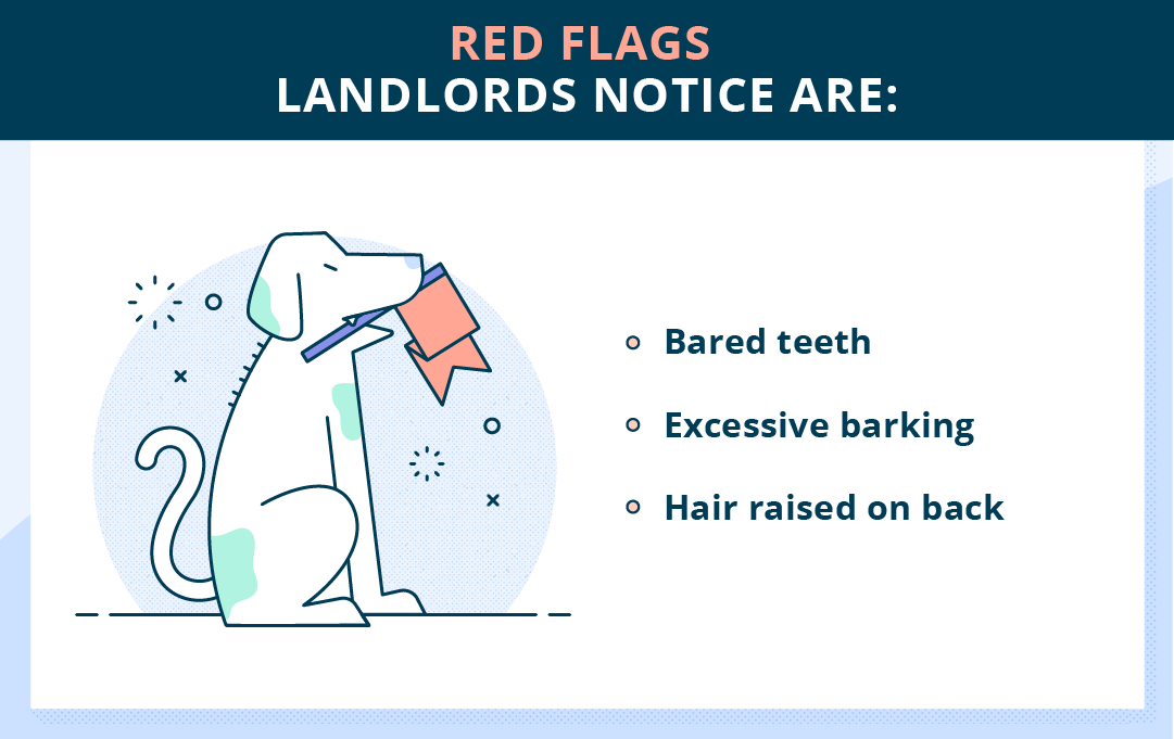 Red flags landlords notice in dogs are bared teeth, excessive barking, hair raised on their back, etc.