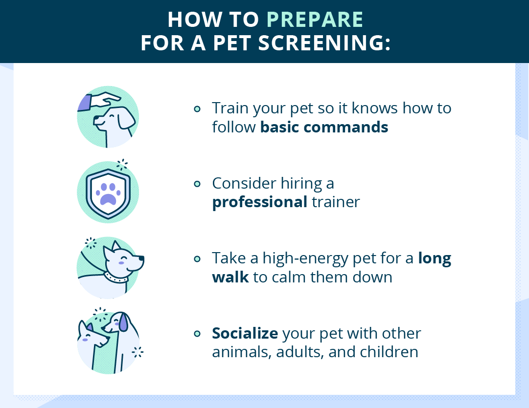 prepare for pet screening