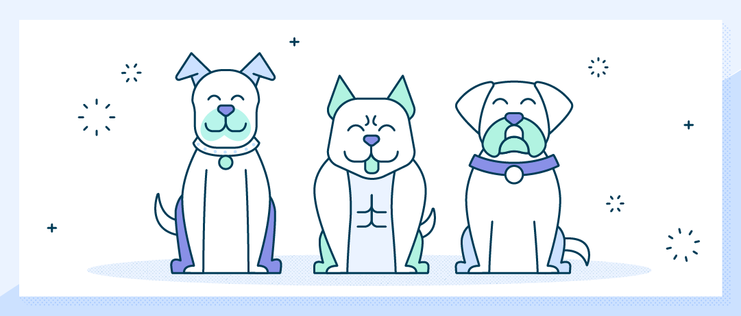 breed of dogs