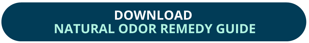 download natural odor remedy guide