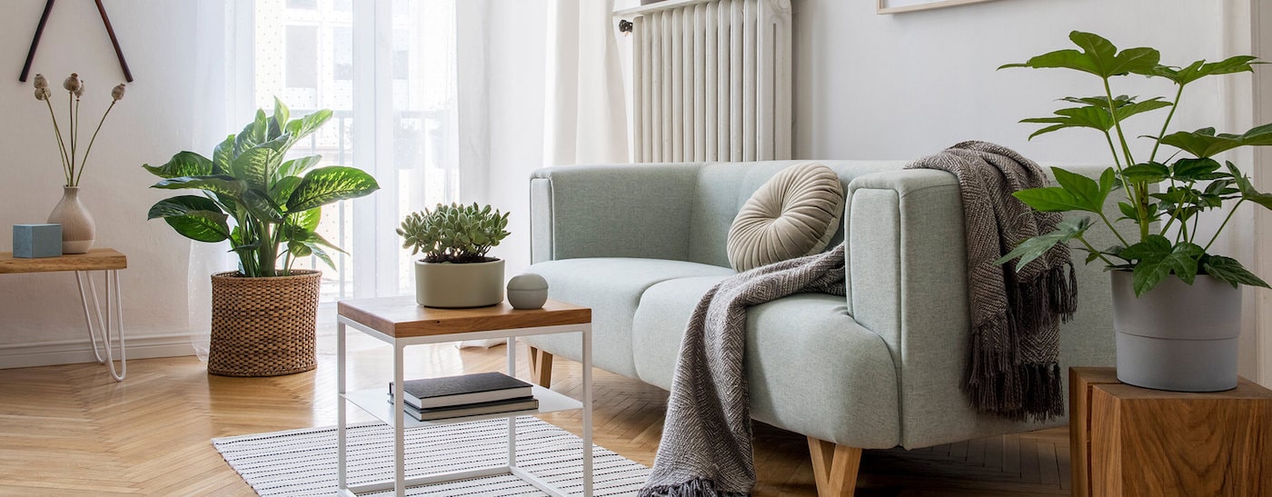 clean apartment with plants