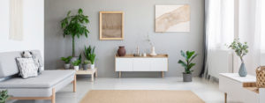 minimalist living room